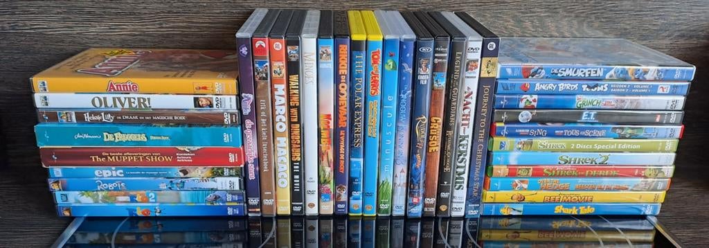 Diverse DVD's, Cd's en Dvd's, Dvd's | Tv en Series, Zo goed als nieuw, Overige genres, Alle leeftijden, Ophalen