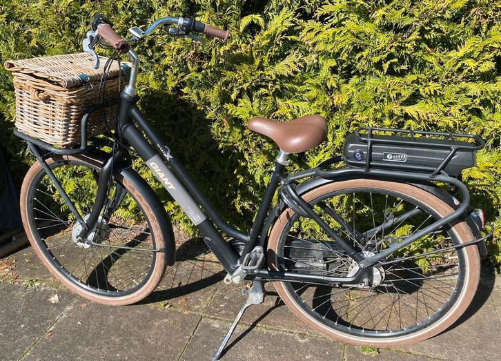 Giant triple X elektrische fiets, Fietsen en Brommers, Elektrische fietsen, Gebruikt, Giant, 51 tot 55 cm, Ophalen