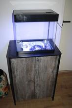 Aquarium superfish panorama 50 met dubbele onderkast, Ophalen, Gebruikt, Leeg aquarium, Inclusief deksel