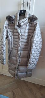 Jas BETTY BARCLAY, Kleding | Dames, Jassen | Winter, Ophalen of Verzenden, Zo goed als nieuw, Maat 42/44 (L), Blauw