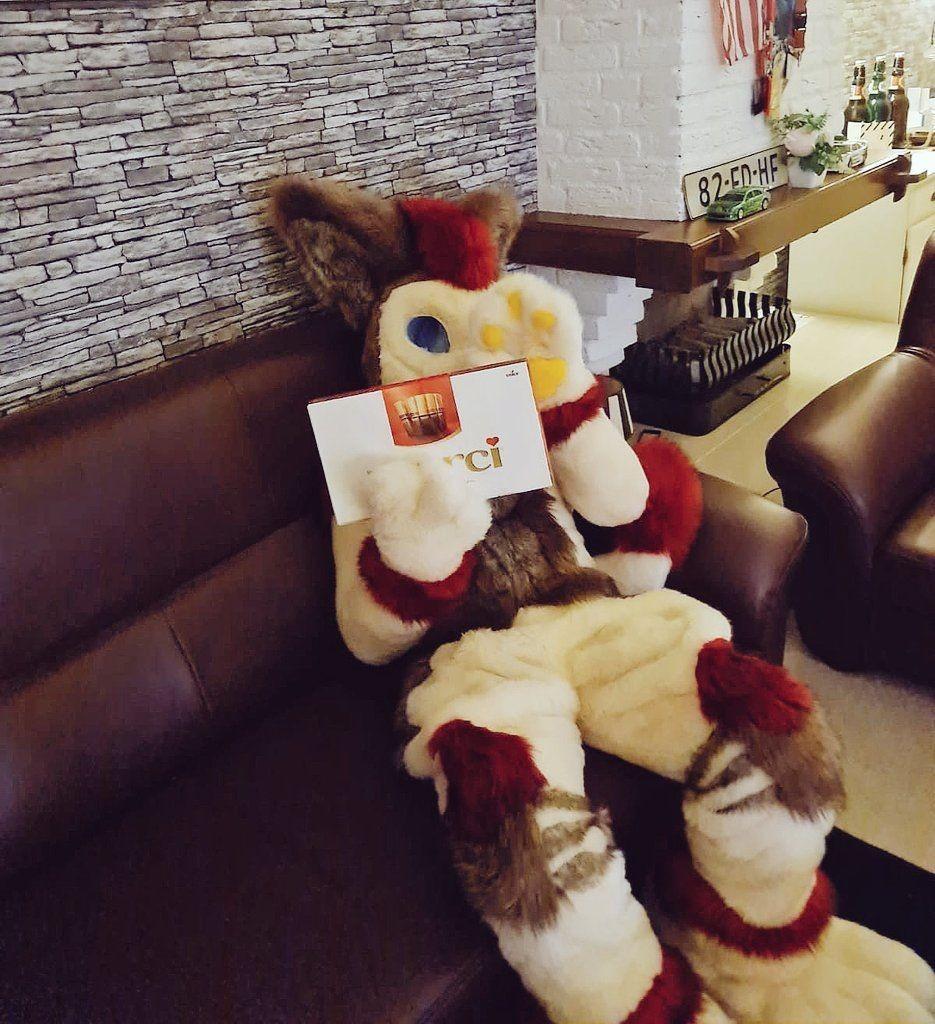 Fullsuit| Fursuit| Furry suit| Furry Kostuum| Mascotte Pak, Ophalen