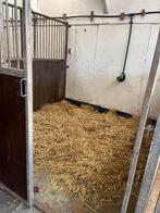 Paarden stalling, Dieren en Toebehoren, Stalling