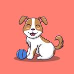 Op zoek naar een klein gezinshond, Overige rassen, 1 tot 2 jaar, Geslacht onbekend, Parvo