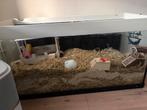 XXL TERRARIUM KNAAGDIEREN, Kooi, Zo goed als nieuw, Hamster, 75 tot 110 cm