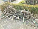 Gratis haardhout: takken en kleine stammen, Minder dan 3 m³, Ophalen of Verzenden, Overige houtsoorten, Takken