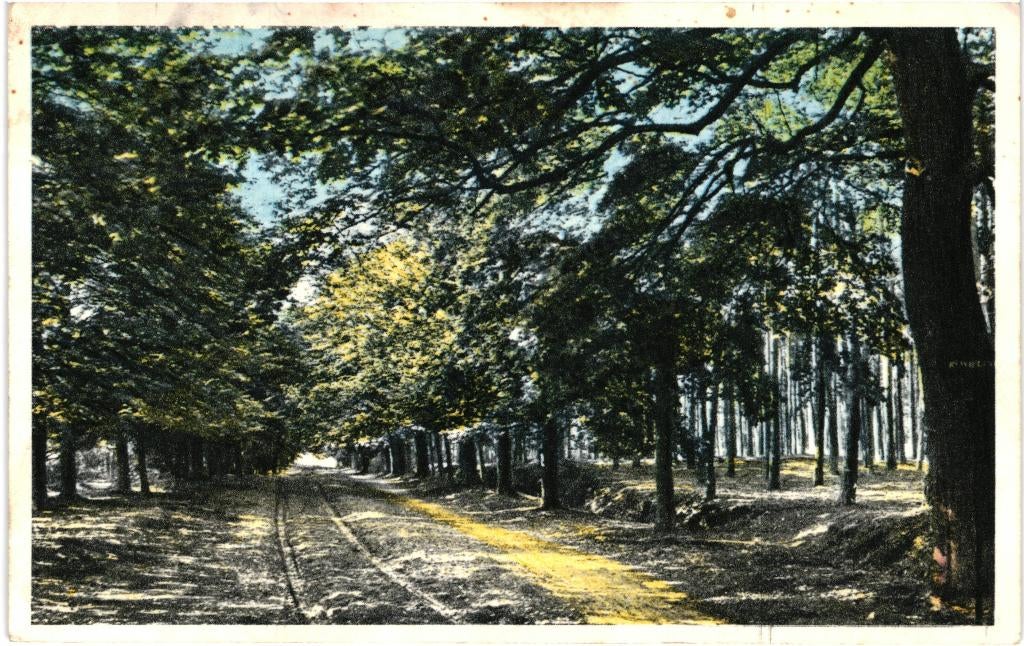 914338 Ruurlo Gld 1957 Vacantieoord t Sikkeler Gelopen