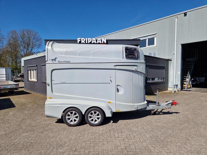 Humbaur Maximus 2400kg, Dieren en Toebehoren, Paarden en Pony's | Trailers en Aanhangwagens, Gebruikt, 2-paards trailer