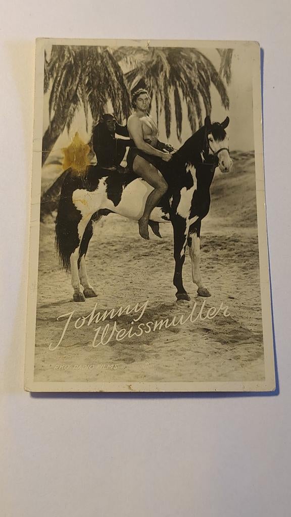 Johnny Weissmuller, Ophalen of Verzenden