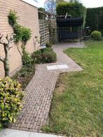 GRATIS betonklinkers 14,5x5x7cm - Circa 10m2, Tuin en Terras, Ophalen, Gebruikt, Klinkers, 10 m² of meer