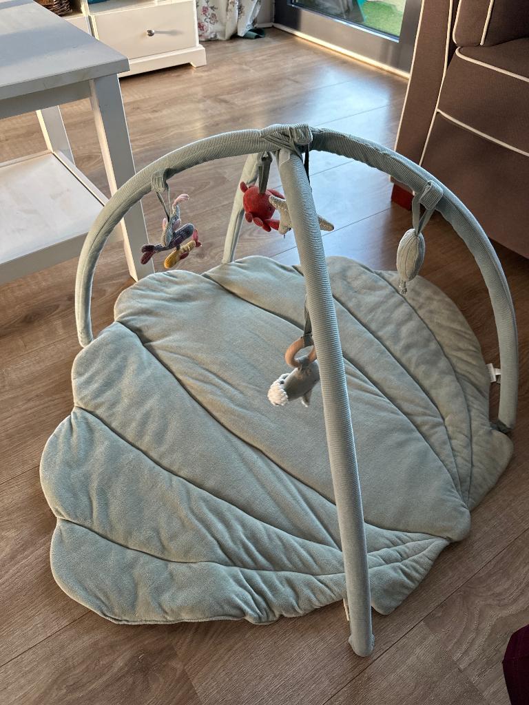 Little Dutch baby gym, Ophalen, Zo goed als nieuw, Babygym