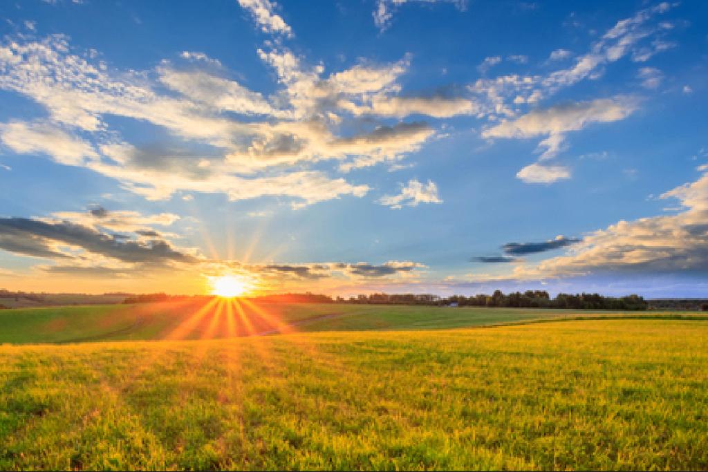 Goed uitziende,singele man50 er zoekt lieve vrouw40 tot 58JR, Contacten en Berichten, Man zoekt Vrouw