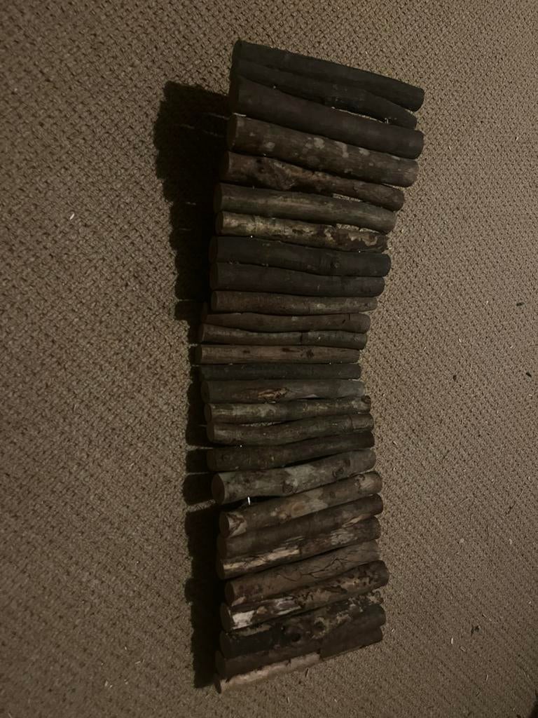 Hamster spullen, Dieren en Toebehoren, Ophalen of Verzenden