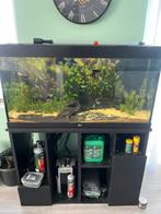 Juwel rio 350 compleet, Ophalen, Zo goed als nieuw, Gevuld zoetwateraquarium