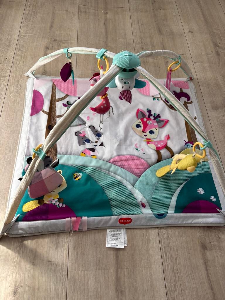 Tiny Love babygym, Ophalen, Gebruikt