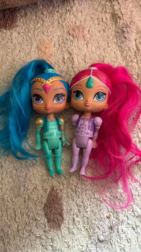 Shimmer and shine, Ophalen of Verzenden, Zo goed als nieuw