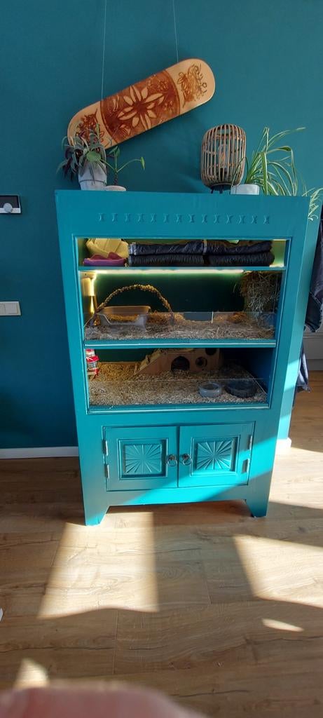 mooie caviakast / caviaflat met verlichting, Ophalen