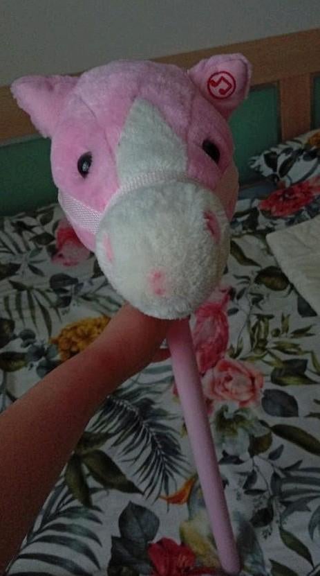 Roze stokpaard, Ophalen, Gebruikt, Meisje