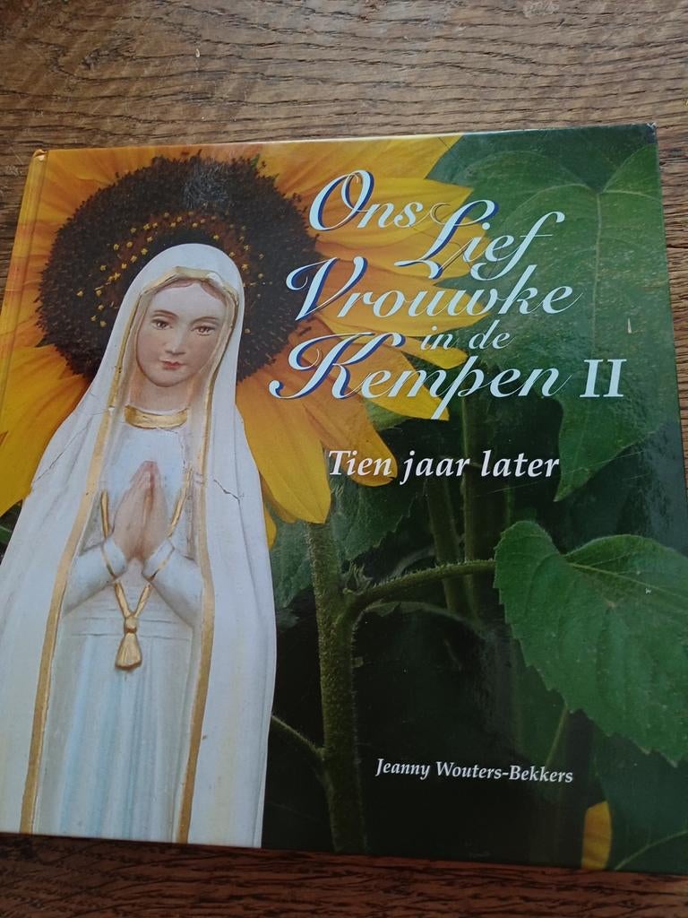 Ons Lief Vrouwke in de Kenpen 11 TIEN jaar later, Boeken, Ophalen of Verzenden, Nieuw