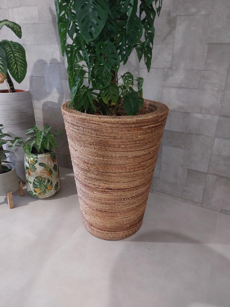 Hoge Rieten Plantenbak, Ophalen, Overige materialen, Gebruikt, Balkon