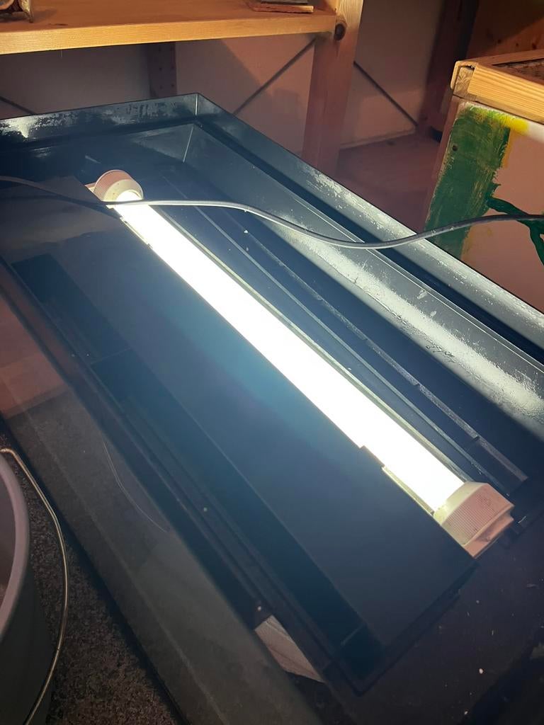 Aquariumkap 60,5x30,5 met licht, Dieren en Toebehoren, Ophalen, Leeg aquarium