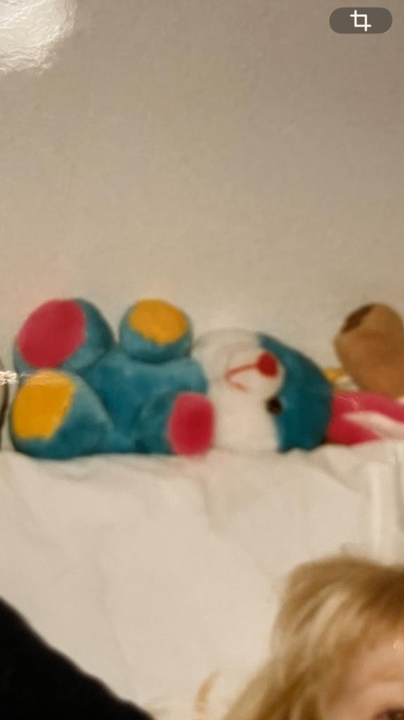 [GEZOCHT] Blauw/groen konijn, Ophalen of Verzenden, Zo goed als nieuw, Groen, Konijn