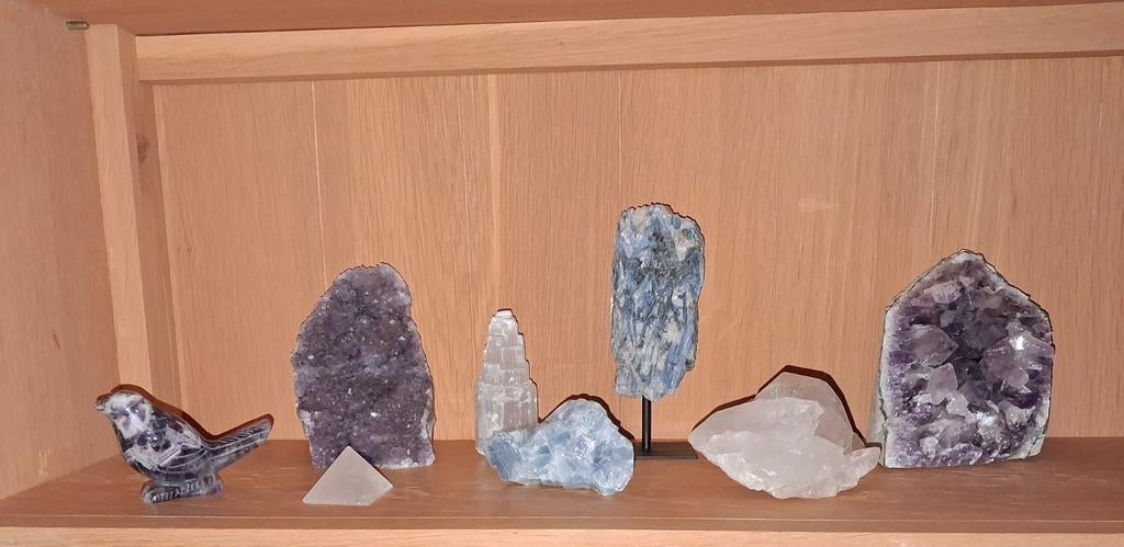 Houten lotus schaal met edelstenen - unieke verzameling, Ophalen