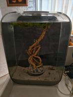 Biorb 15 liter aquarium. Mag voor een leuk prijsje weg!, Dieren en Toebehoren, Ophalen