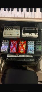 Chase Bliss / Microcosm, Ophalen of Verzenden, Zo goed als nieuw, Delay of Echo