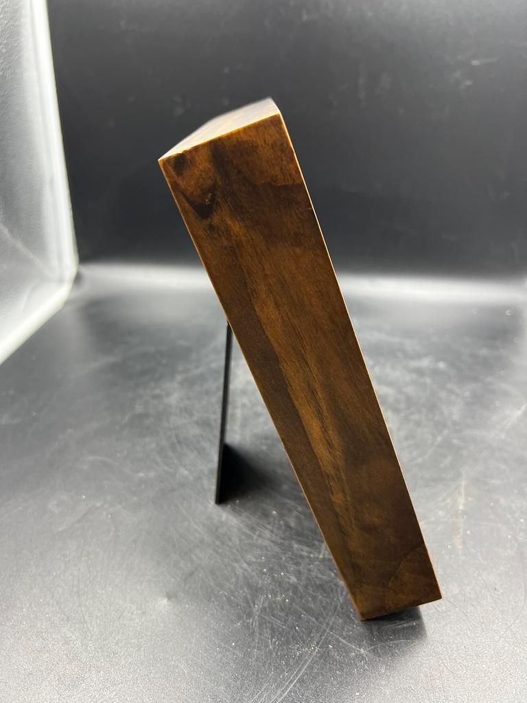 Opgezette vleermuis in luxe walnoothouten lijst, Verzamelen, Dierenverzamelingen, Ophalen of Verzenden, Nieuw, Overige soorten