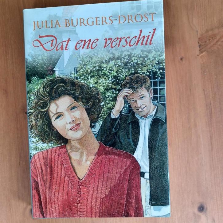 Dat ene verschil, Boeken, Romans, Gelezen, Nederland, Ophalen of Verzenden