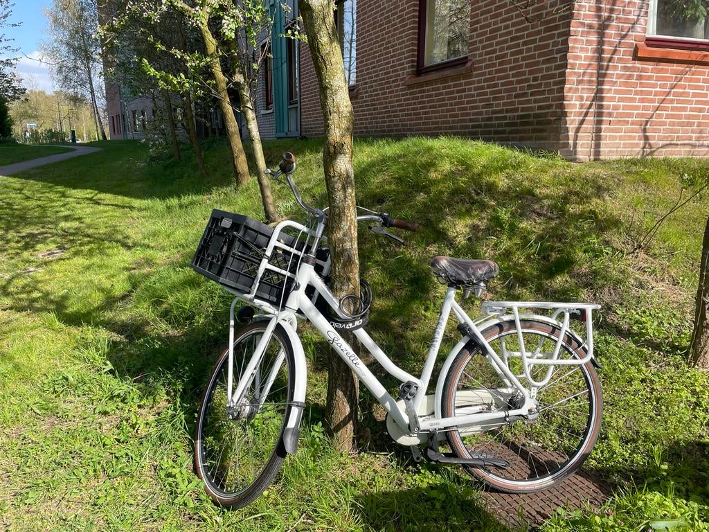 Witte Gazelle Miss Grace damesfiets maat 59, Fietsen en Brommers, Versnellingen, Ophalen of Verzenden, Gazelle, Trommelrem