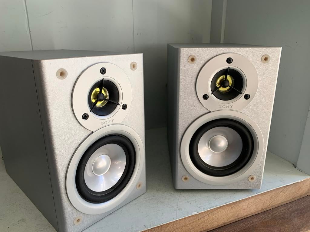 Sony Vintage SS-CM100 Boekenplank Speakers - Zilver, Gebruikt, Ophalen of Verzenden, Sony, Minder dan 60 watt