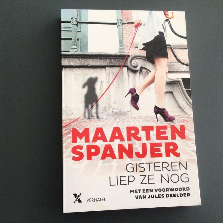 Maarten Spanjer - Gisteren liep ze nog, Boeken, Overige Boeken, Zo goed als nieuw, Ophalen of Verzenden