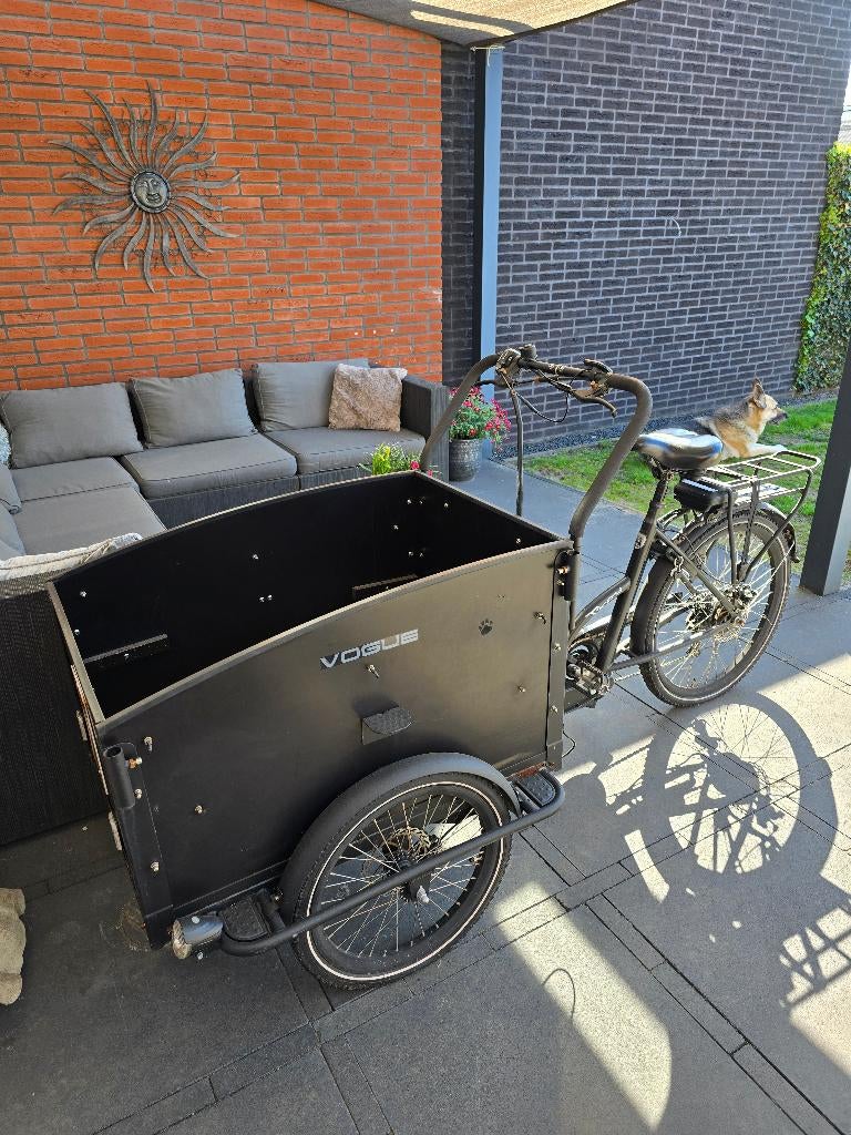 Bakfiets (opknapper), Fietsen en Brommers, Fietsen | Bakfietsen, Gebruikt, Goederen, Elektrisch, Ophalen