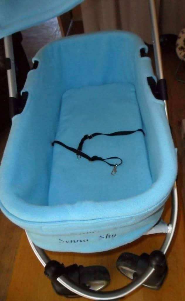 Honden buggy te koop, Ophalen, Gebruikt