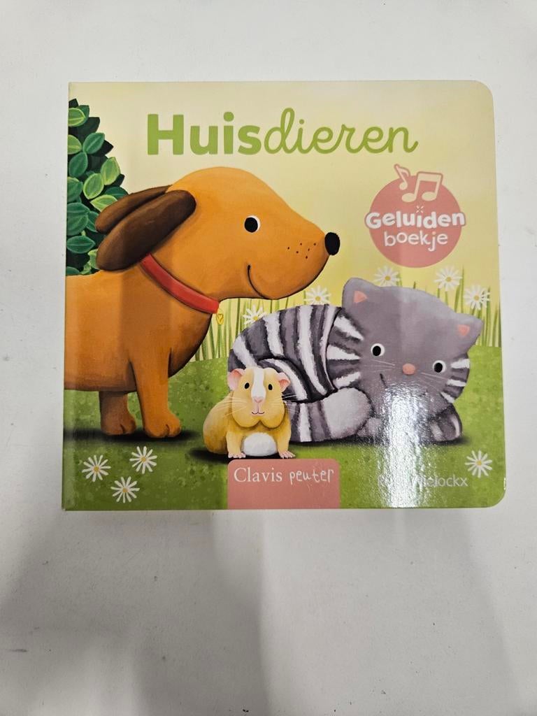 Ruth Wielockx - Huisdieren, Boeken, Ophalen of Verzenden, Zo goed als nieuw, Ruth Wielockx