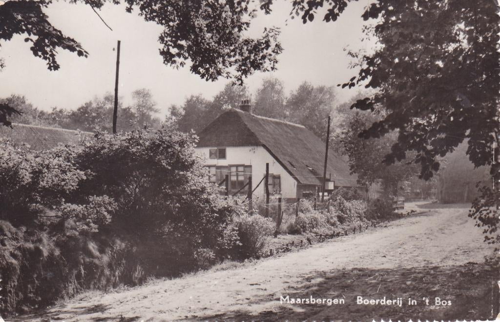 Maarsbergen.  Boerderij inn 't Bos.  **, Verzamelen, Verzenden, 1940 tot 1960, Ongelopen, Utrecht
