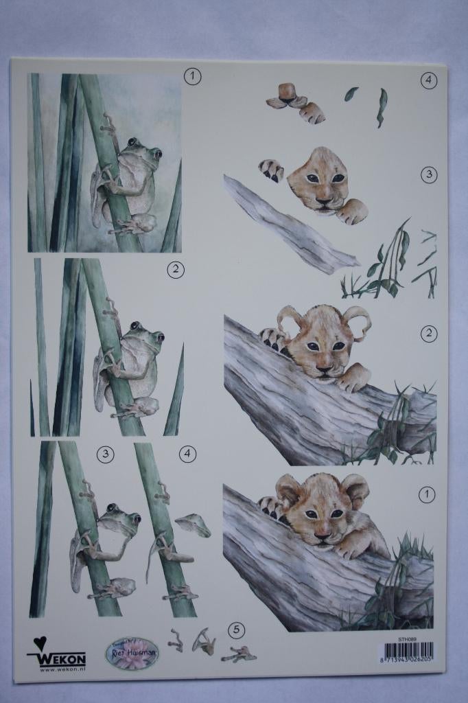 13 stuks knipvellen 3D vleermuizen 7290, Hobby en Vrije tijd, Ophalen of Verzenden, Nieuw, Dieren, Knipvel