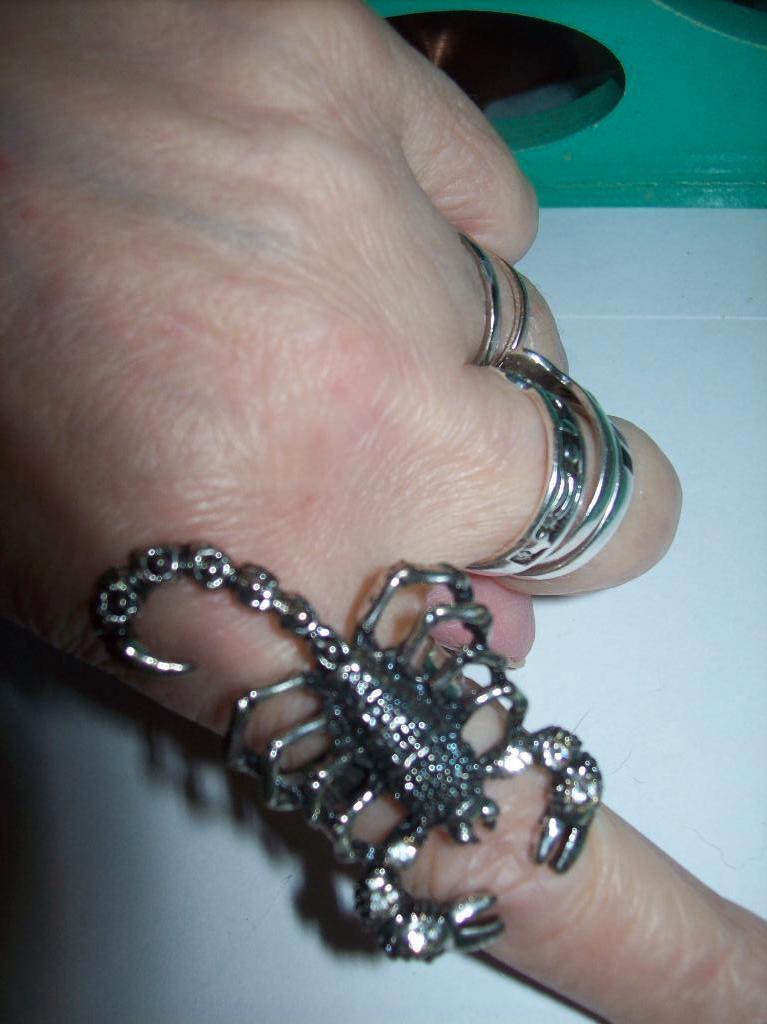 Ring Zilvertint Mooi Groot verstelbaar Schorpioen model, Met kristal, 19 tot 20, Nieuw, Dame