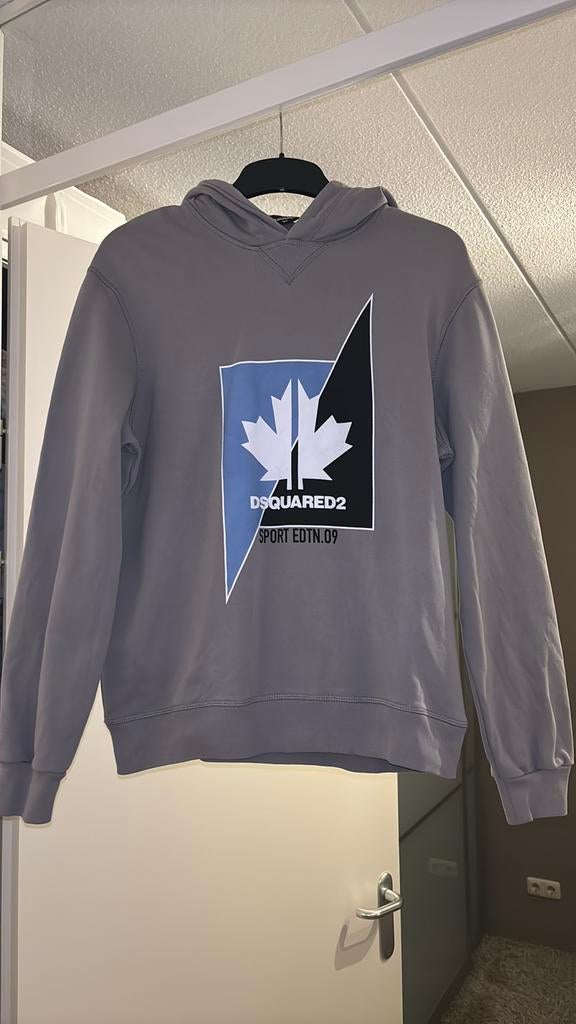 Hoodie Dsquared2, Kinderen en Baby's, Kinderkleding | Maat 176, Ophalen of Verzenden, Zo goed als nieuw, Jongen, Trui of Vest