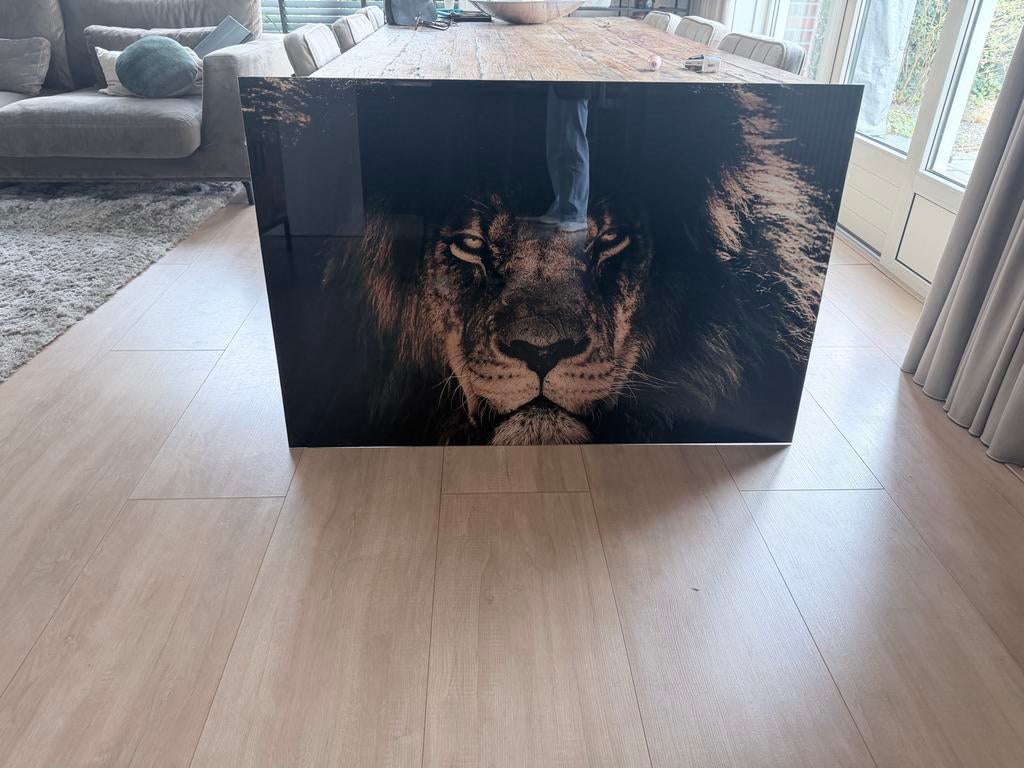 Plexiglas plaat met leeuw, Ophalen, 80 cm, Meerkleurig, Zo goed als nieuw