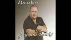 Nederlandse CD : BAUKE - Gewoon Bauke., Ophalen of Verzenden, Gebruikt, Levenslied of Smartlap