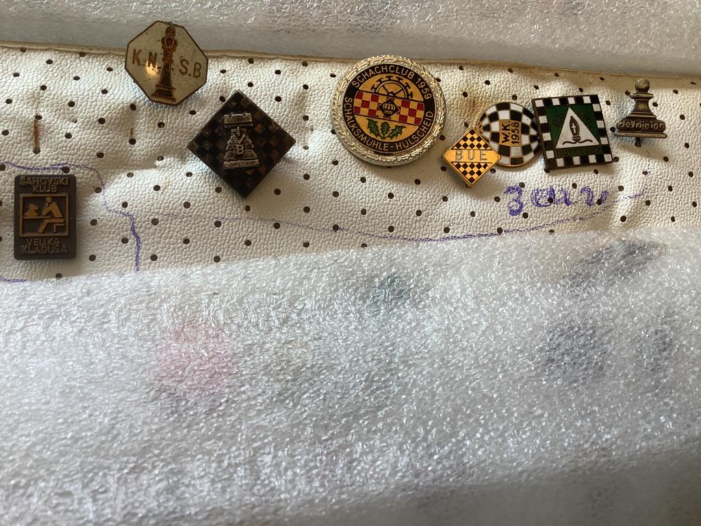 Speldjes schaken, Verzamelen, Speldjes, Pins en Buttons, Ophalen of Verzenden, Gebruikt, Overige onderwerpen