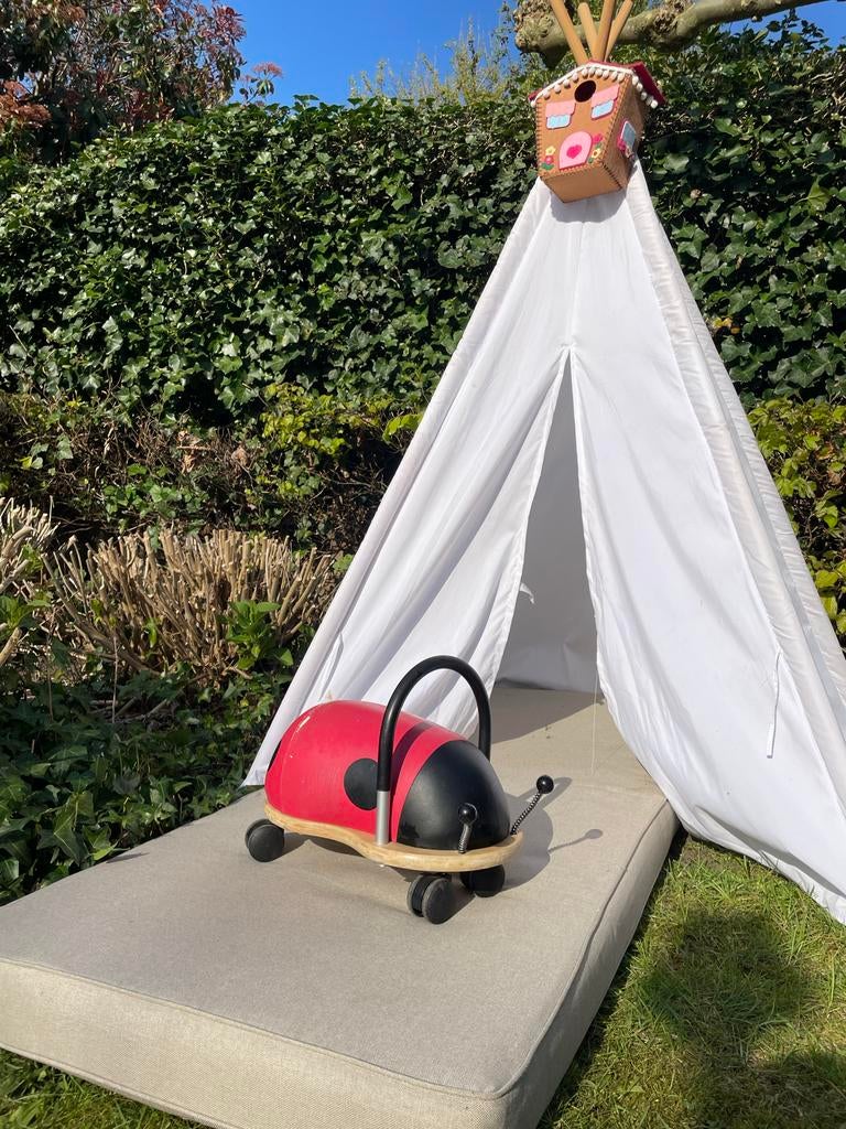 Wheely Bug Lieveheersbeestje, Ophalen, Gebruikt, Jongen of Meisje