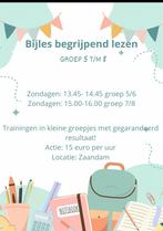 Bijles/Training begrijpend lezen (Start deze week!)