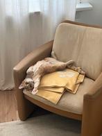 Oranje kat zoekt nieuw thuis, Dieren en Toebehoren, Poes