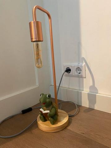 Schildpad Voorleeslampje - Uniek! beschikbaar voor biedingen