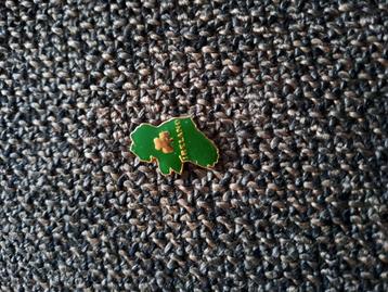 Pin Ierland / Ireland beschikbaar voor biedingen