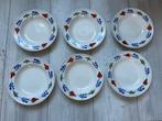 Boerenbont diepe borden 24,5 cm, Huis en Inrichting, Keuken | Servies, Ophalen of Verzenden, Zo goed als nieuw, Bord(en), Aardewerk