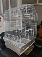 Vogelkooi   80breed 95 hoog en 55 diep, Ophalen, Gebruikt, Metaal, Vogelkooi
